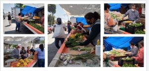 Screenshot_20210323_210125