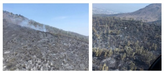 Screenshot_20210413_135210