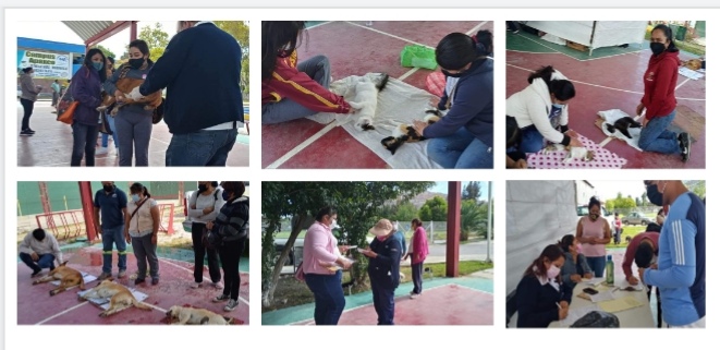 Screenshot_20210615_184557