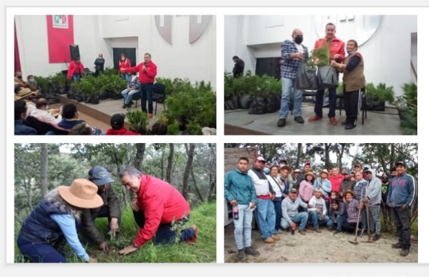 Screenshot_20211018_205344