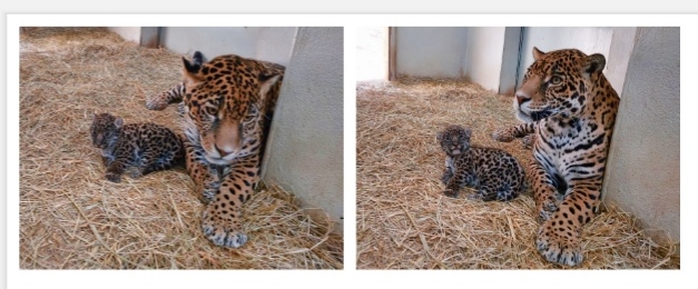 Screenshot_20211119_014551