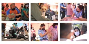 Screenshot_20220309_220122