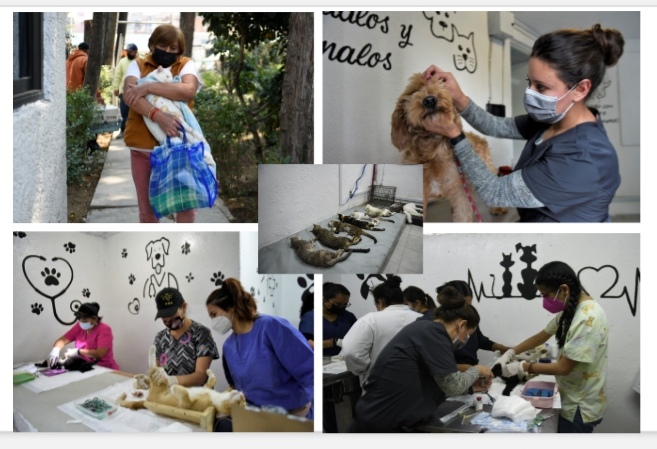 Screenshot_20220317_172856