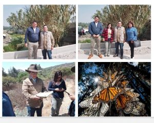 Screenshot_20220321_235031