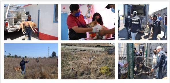 Screenshot_20220325_180449