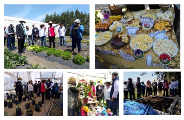 Screenshot_20220405_010248