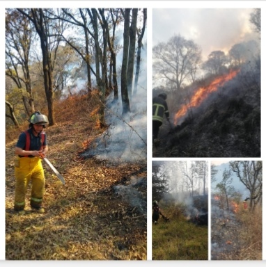 Screenshot_20220418_154114