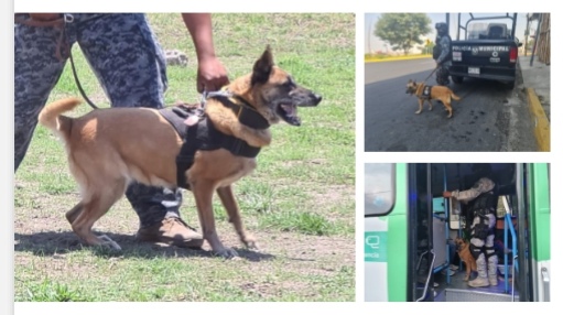 Screenshot_20220523_135028