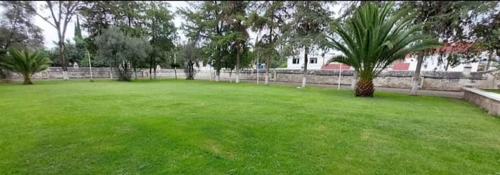 Screenshot_20220905_231155