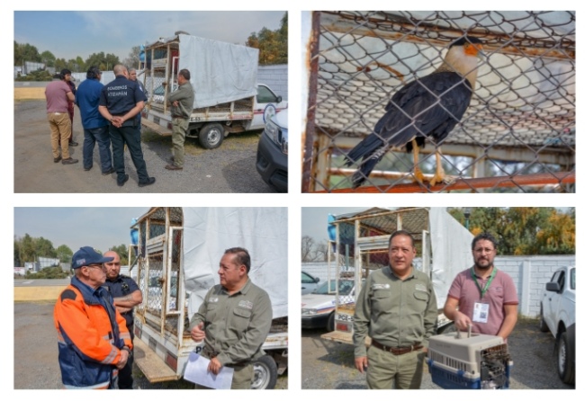 Screenshot_20230123_135903