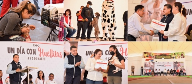 Screenshot_20230304_181418