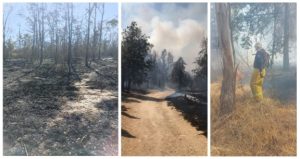 Screenshot_20230307_211756