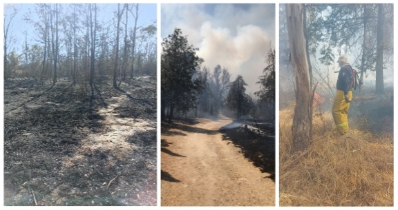 Screenshot_20230307_211756