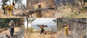 Screenshot_20230317_143318