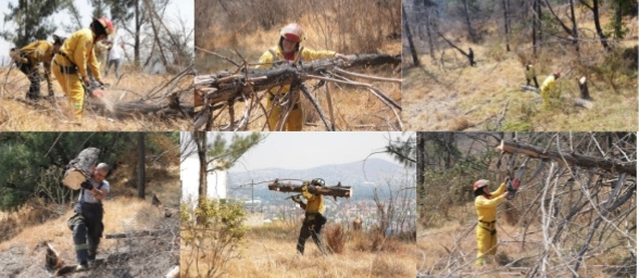 Screenshot_20230317_143318