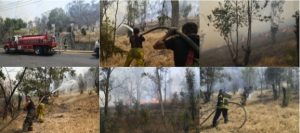 Screenshot_20230324_181354