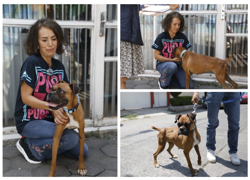 Screenshot_2023-06-05-18-35-17-105_com.google.android.apps.docs.editors.slides~2