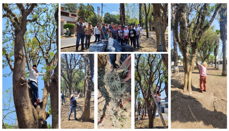 Screenshot_2023-06-10-14-57-49-313_com.google.android.apps.docs.editors.slides~2