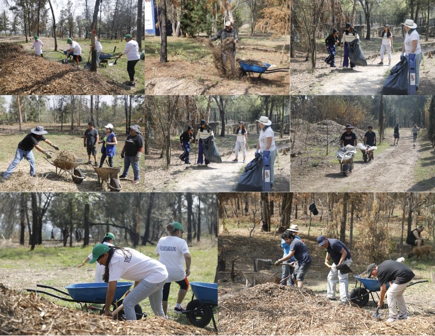 Screenshot_2023-06-12-15-50-01-266_com.google.android.apps.docs.editors.slides~2