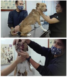 Screenshot_2023-07-07-12-16-07-891_com.google.android.apps.docs.editors.slides~2