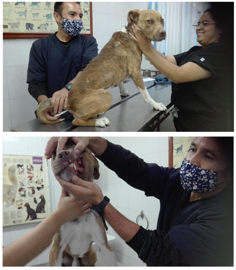 Screenshot_2023-07-07-12-16-07-891_com.google.android.apps.docs.editors.slides~2