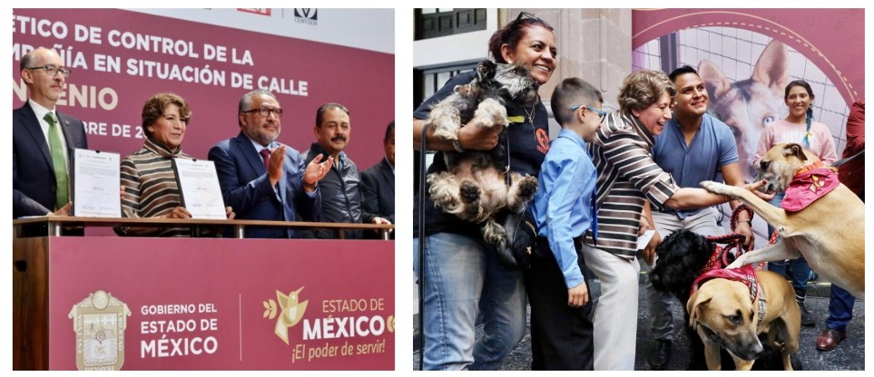 Screenshot_2023-10-04-19-19-08-881_com.google.android.apps.docs.editors.slides