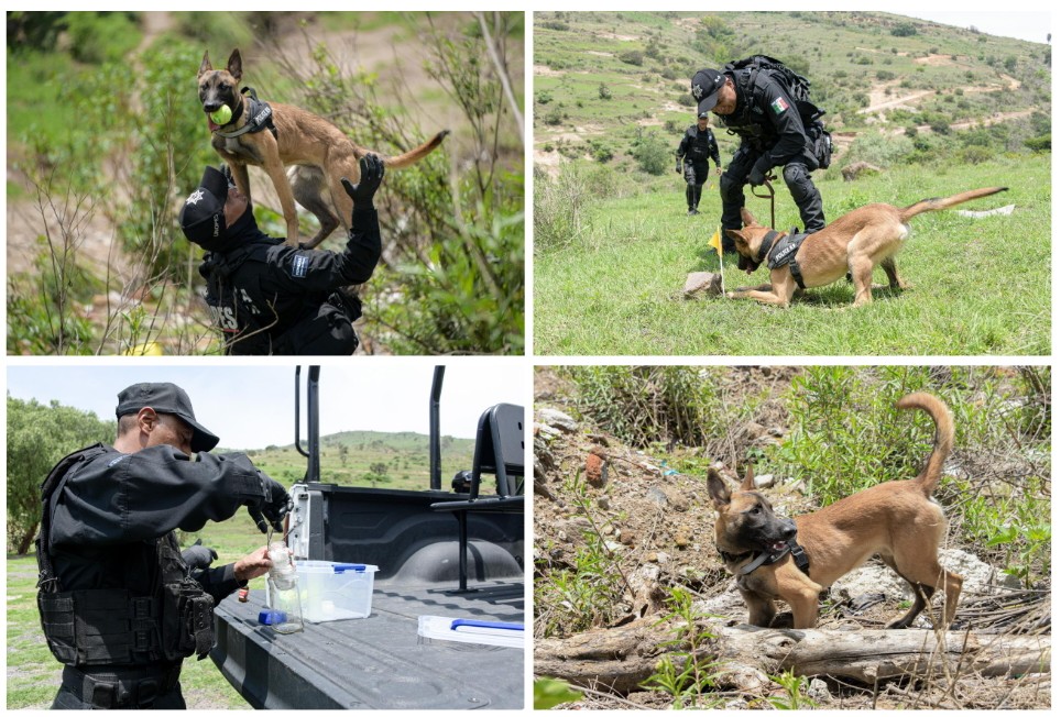 Screenshot_2023-10-09-17-48-25-154_com.google.android.apps.docs.editors.slides