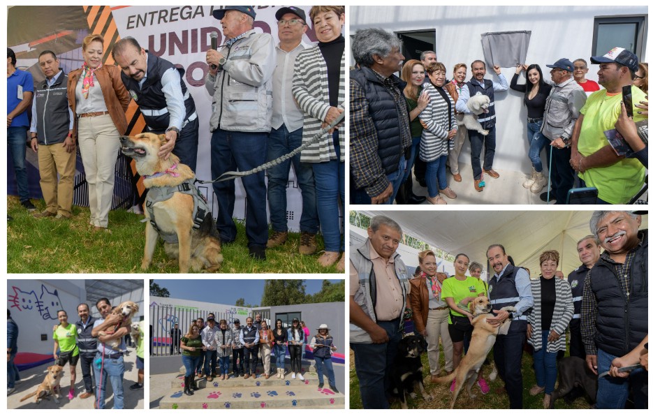 Screenshot_2023-10-23-15-07-48-017_com.google.android.apps.docs.editors.slides