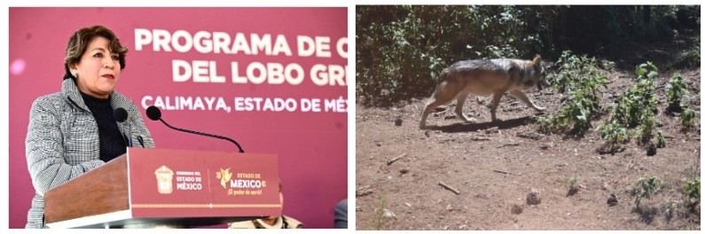 Screenshot_2024-01-05-02-31-46-631_com.google.android.apps.docs.editors.slides