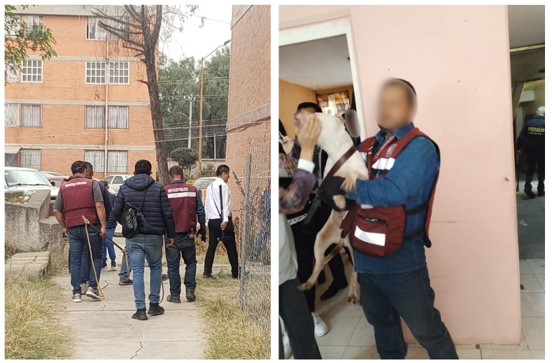 Screenshot_2024-02-02-22-09-38-744_com.google.android.apps.docs.editors.slides