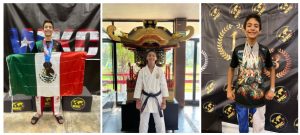 Screenshot_2024-02-11-15-20-53-101_com.google.android.apps.docs.editors.slides