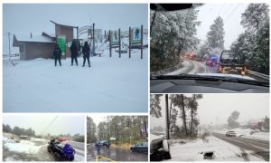 Screenshot_2024-02-17-18-02-30-550_com.google.android.apps.docs.editors.slides