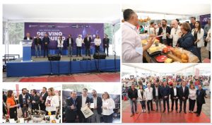 Screenshot_2024-04-28-12-53-03-924_com.google.android.apps.docs.editors.slides