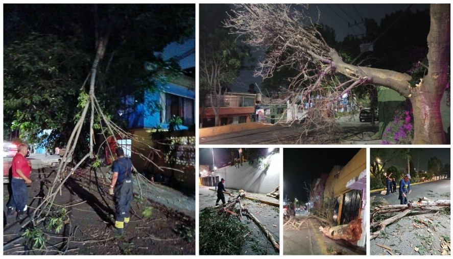 Screenshot_2024-05-12-14-56-36-649_com.google.android.apps.docs.editors.slides