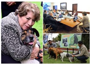 Screenshot_2024-05-22-19-31-19-484_com.google.android.apps.docs.editors.slides