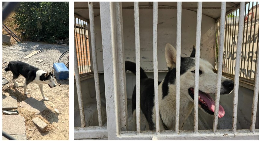 Screenshot_2024-06-01-18-28-23-628_com.google.android.apps.docs.editors.slides