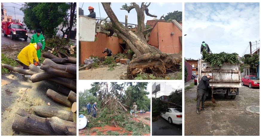 Screenshot_2024-07-25-17-32-53-205_com.google.android.apps.docs.editors.slides