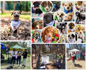 Screenshot_2024-08-01-15-36-07-920_com.google.android.apps.docs.editors.slides