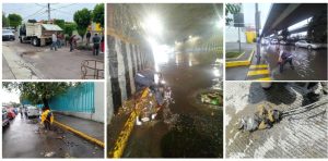 Screenshot_2024-08-12-13-48-36-171_com.google.android.apps.docs.editors.slides