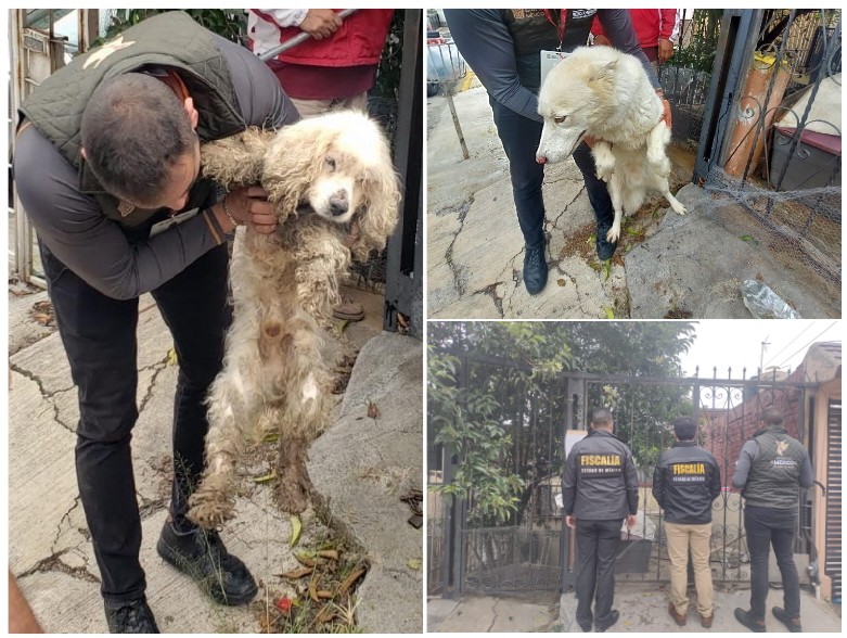 Screenshot_2024-10-09-20-38-05-497_com.google.android.apps.docs.editors.slides