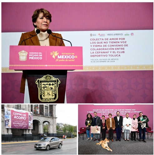 Screenshot_2024-12-23-14-16-45-900_com.google.android.apps.docs.editors.slides