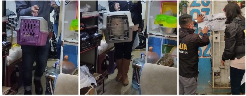 Screenshot_2024-12-31-18-44-58-069_com.google.android.apps.docs.editors.slides