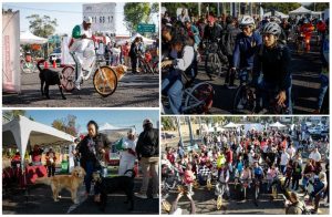 Screenshot_2025-03-01-16-14-52-833_com.google.android.apps.docs.editors.slides