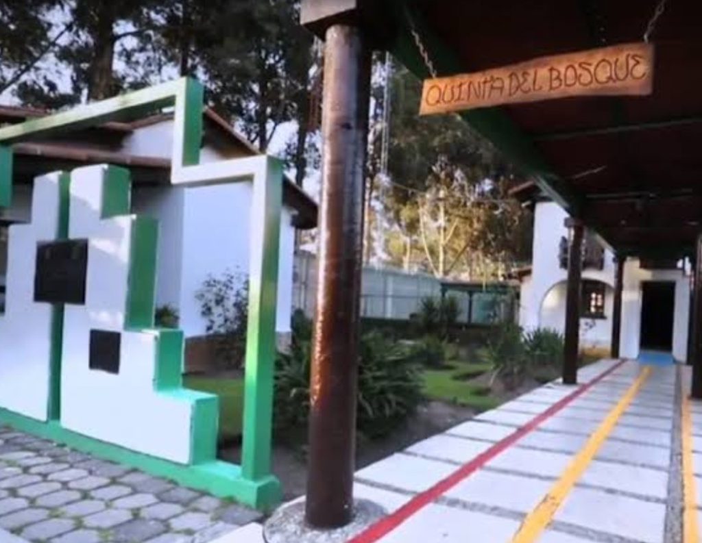 Screenshot_2025-03-26-19-17-24-903_com.google.android.googlequicksearchbox