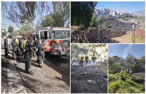 Screenshot_2025-04-12-21-05-18-988_com.google.android.apps.docs.editors.slides