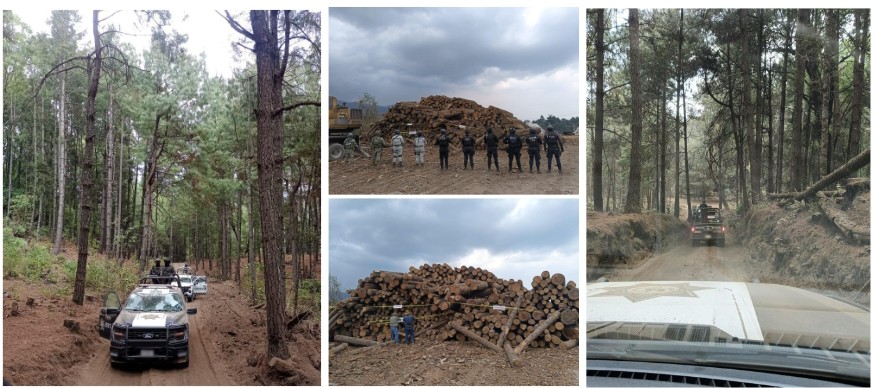 Screenshot_2025-05-11-23-45-13-048_com.google.android.apps.docs.editors.slides