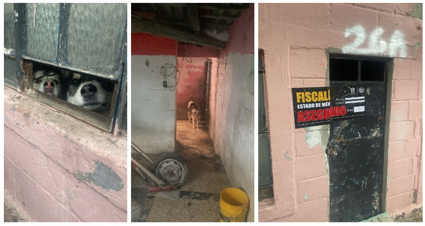 Screenshot_2025-05-23-19-50-37-869_com.google.android.apps.docs.editors.slides