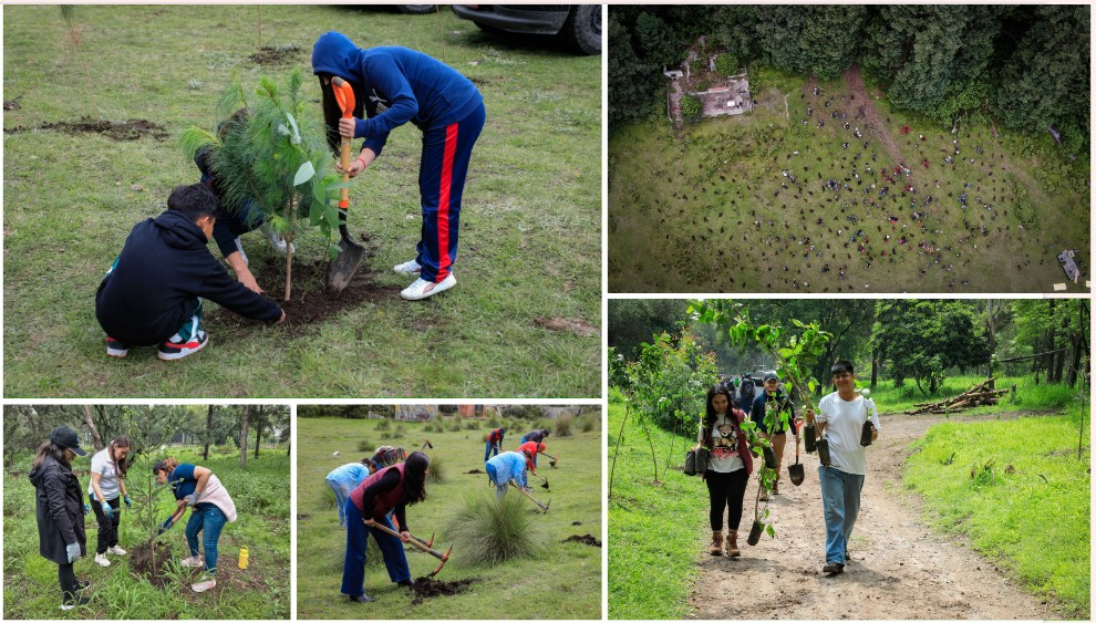 Screenshot_2025-07-13-15-05-14-332_com.google.android.apps.docs.editors.slides