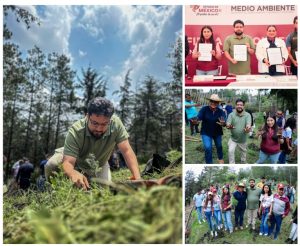 Screenshot_2025-07-17-12-50-44-250_com.google.android.apps.docs.editors.slides