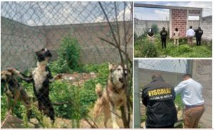 Screenshot_2025-07-17-16-27-38-985_com.google.android.apps.docs.editors.slides